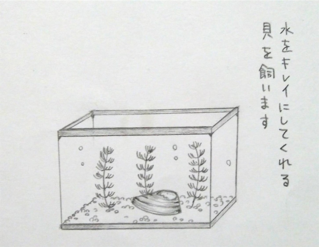 f:id:maricats:20200118203522j:image f:id:maricats:20200118203522j:image