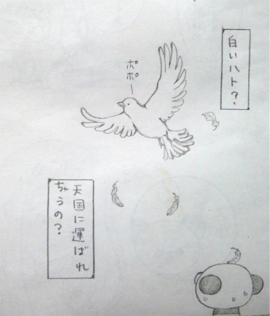 f:id:maricats:20200704155404j:image f:id:maricats:20200704155404j:image