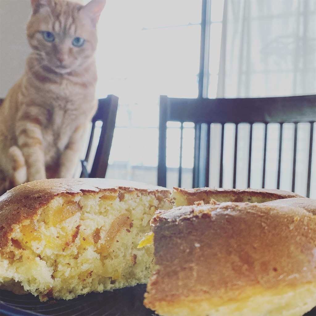 f:id:marie_usako:20200322173231j:image