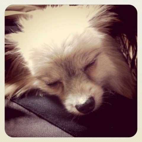 f:id:marie_yone:20111011213302j:image f:id:marie_yone:20111011213302j:image