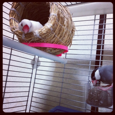 f:id:marie_yone:20111113103620j:image:left f:id:marie_yone:20111113103620j:image:left