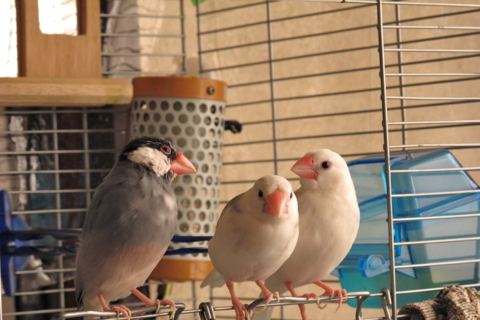 f:id:marie_yone:20120418224432j:image f:id:marie_yone:20120418224432j:image