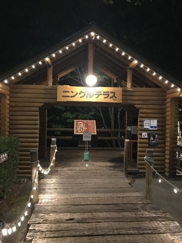 富良野ニングルテラスの夜はロマンチックすぎる 繊細さんが 今日も行く