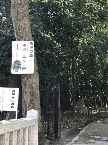 神戸で縁結び 生田神社でおみくじを引いたら別の神社へ行けと 繊細さんが 今日も行く