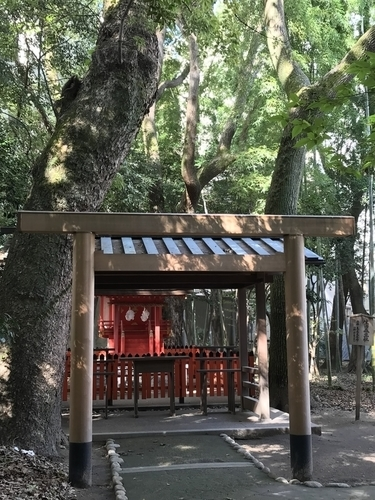 神戸で縁結び 生田神社でおみくじを引いたら別の神社へ行けと 繊細さんが 今日も行く