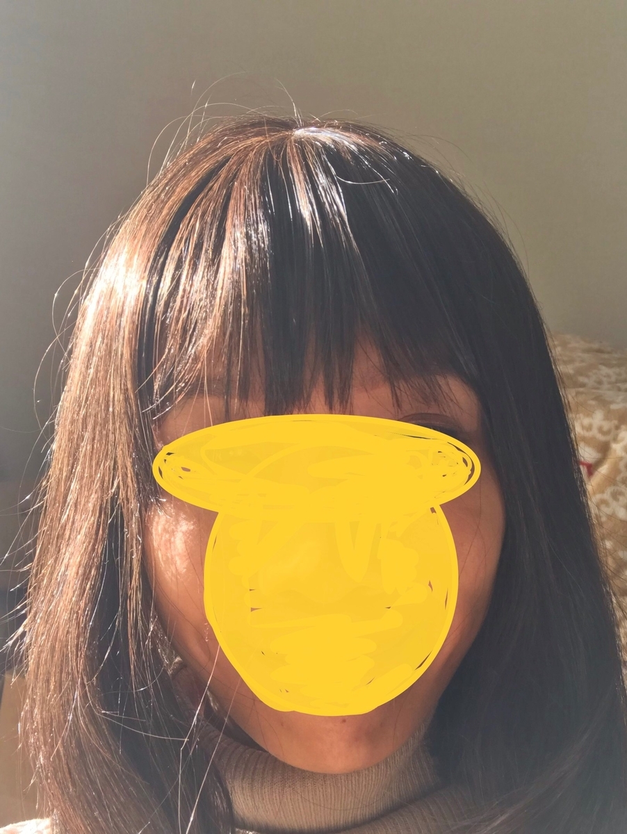 f:id:mariepeco:20191212235053j:plain f:id:mariepeco:20191212235053j:plain