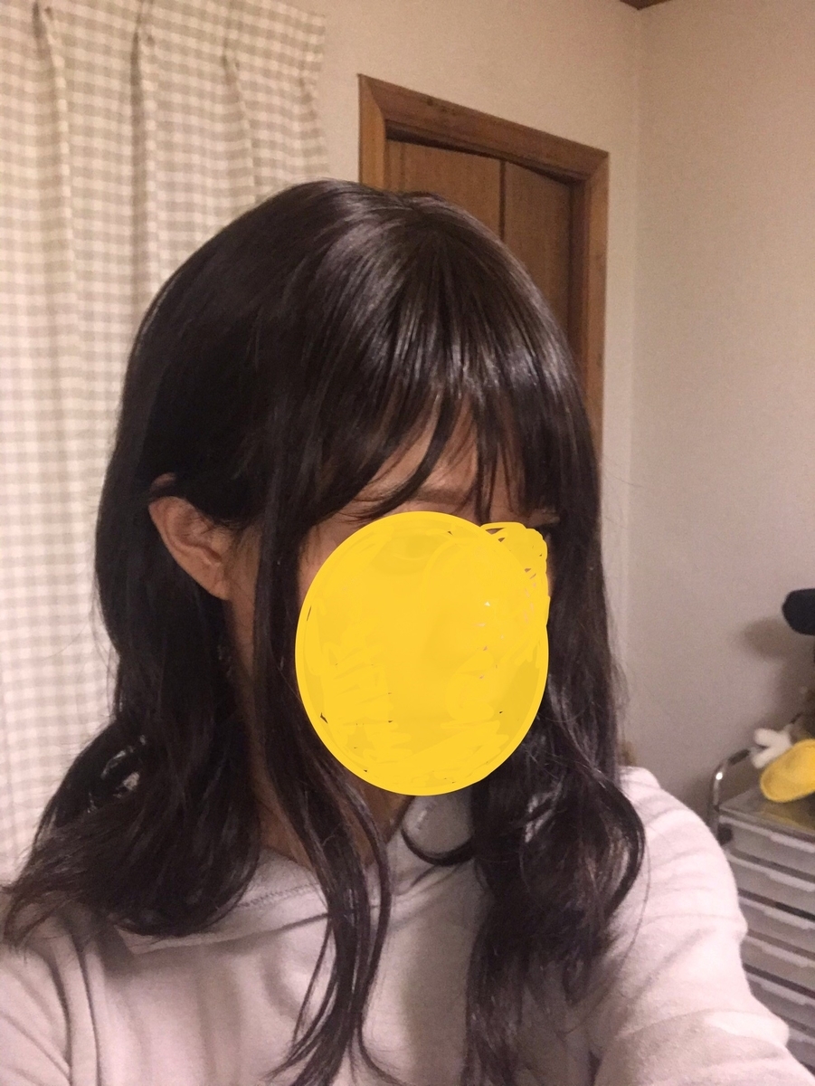 f:id:mariepeco:20191212235112j:plain f:id:mariepeco:20191212235112j:plain