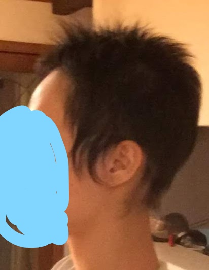 f:id:mariepeco:20200101171544j:plain f:id:mariepeco:20200101171544j:plain