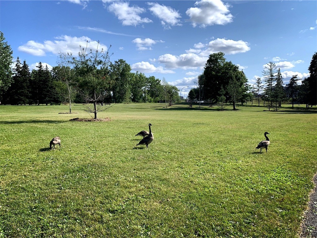 f:id:marik:20190831224348j:image f:id:marik:20190831224348j:image