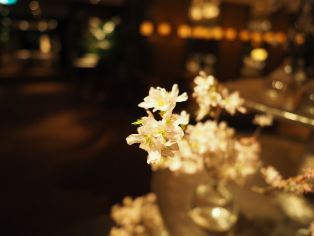 f:id:marika3flower3:20180220183641j:image f:id:marika3flower3:20180220183641j:image