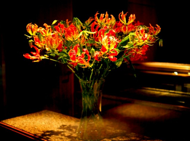 f:id:marika3flower3:20180220184901j:image f:id:marika3flower3:20180220184901j:image