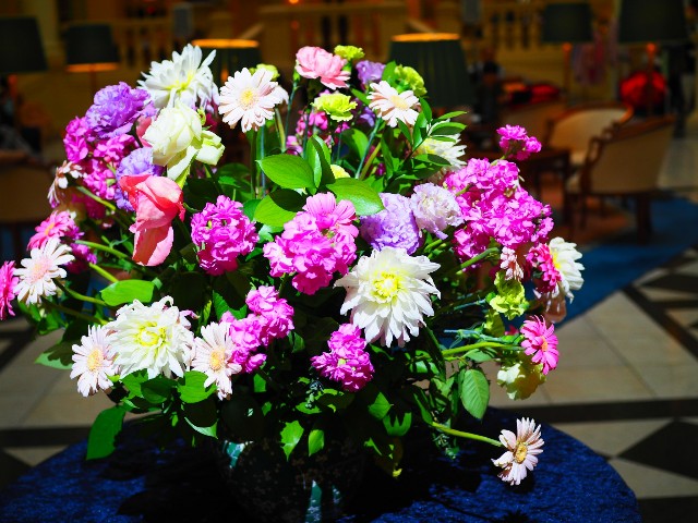 f:id:marika3flower3:20180423231252j:image