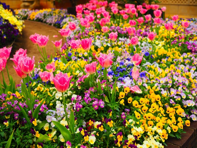 f:id:marika3flower3:20180423233331j:image