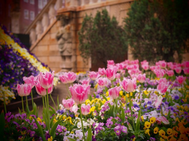 f:id:marika3flower3:20180423233601j:image