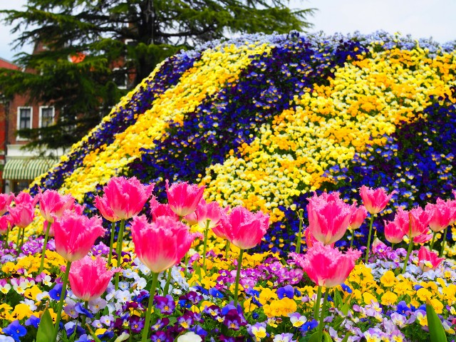 f:id:marika3flower3:20180423233734j:image