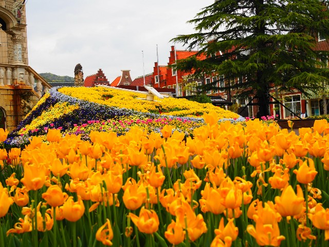 f:id:marika3flower3:20180424121209j:image