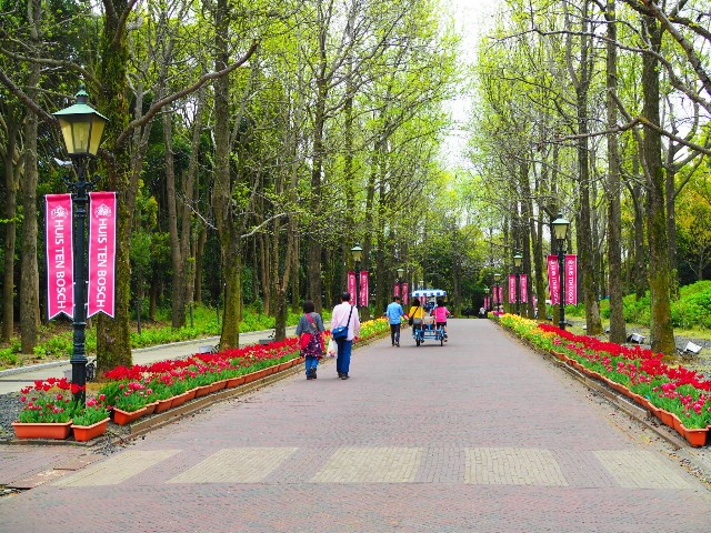 f:id:marika3flower3:20180426102345j:image