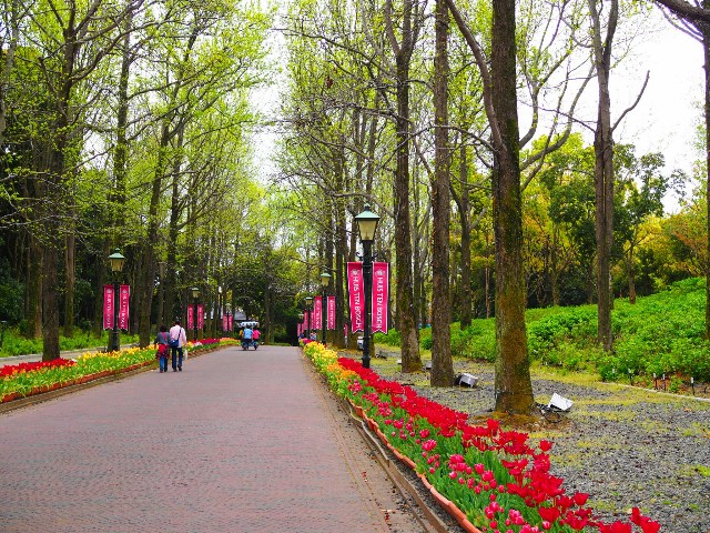 f:id:marika3flower3:20180426102405j:image