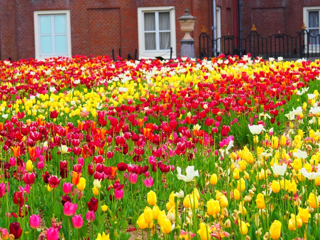 f:id:marika3flower3:20180426110310j:image