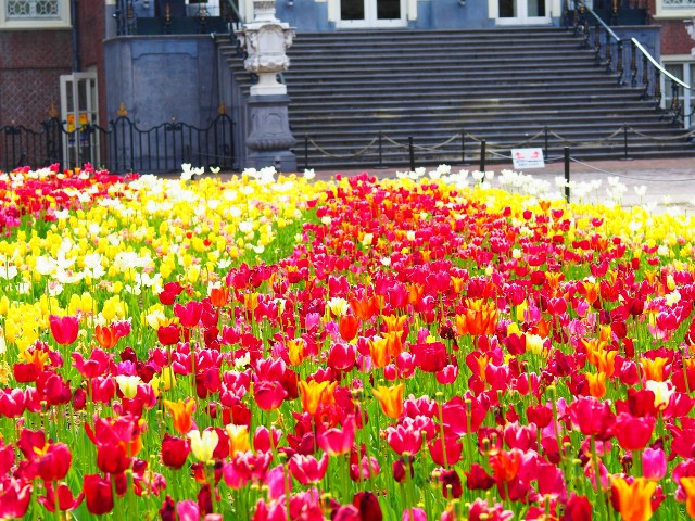 f:id:marika3flower3:20180426110347j:image