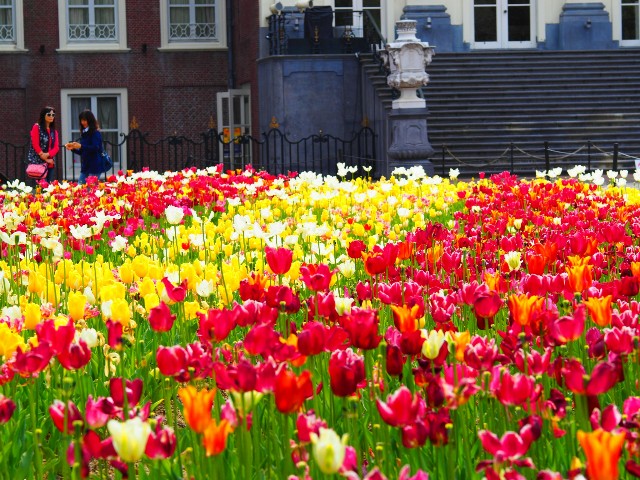 f:id:marika3flower3:20180426110434j:image