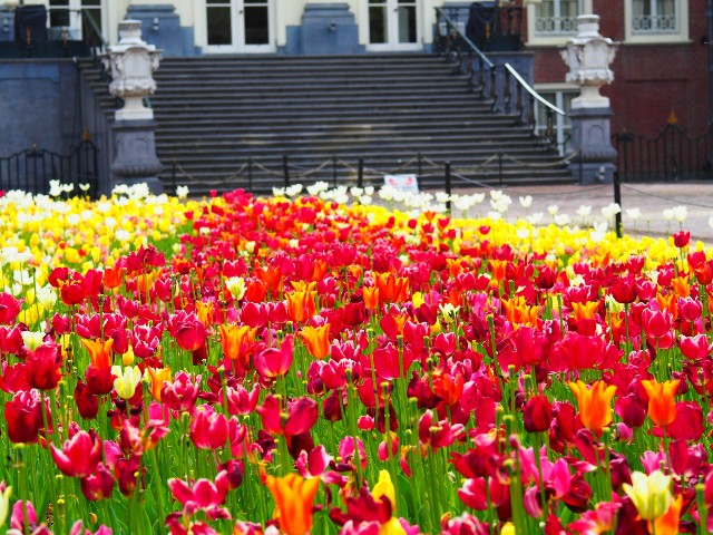 f:id:marika3flower3:20180426110510j:image