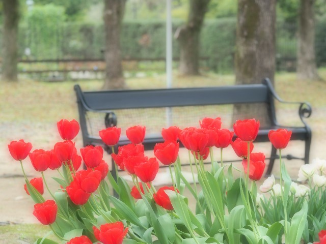 f:id:marika3flower3:20180426110549j:image
