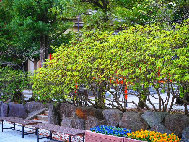 f:id:marika3flower3:20180502121547j:image