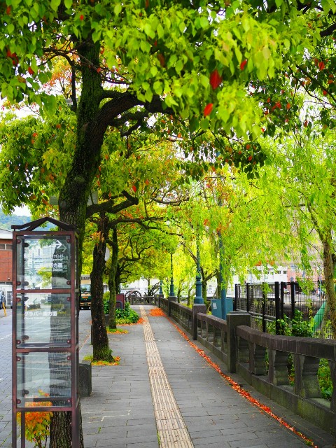 f:id:marika3flower3:20180508211000j:image