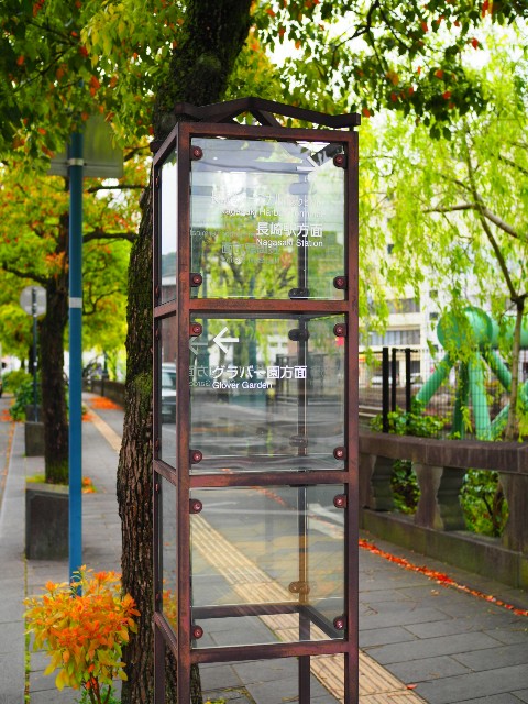 f:id:marika3flower3:20180508211045j:image