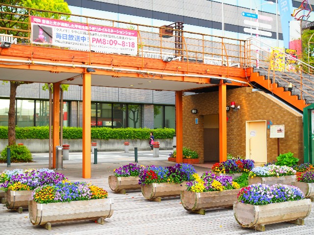 f:id:marika3flower3:20180508220358j:image