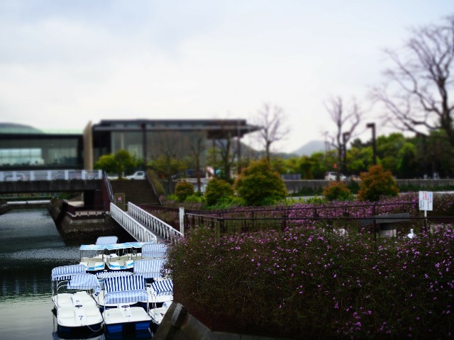 f:id:marika3flower3:20180508221033j:image