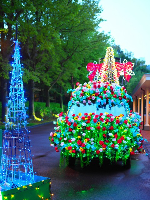f:id:marika3flower3:20180514111548j:image
