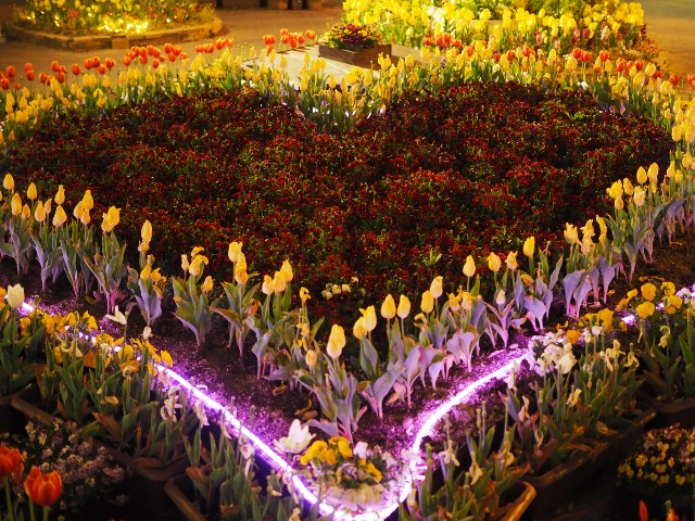 f:id:marika3flower3:20180514112045j:image