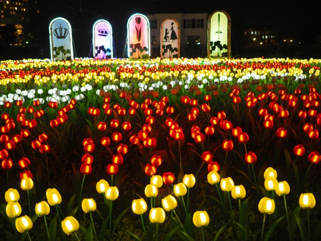 f:id:marika3flower3:20180514112541j:image