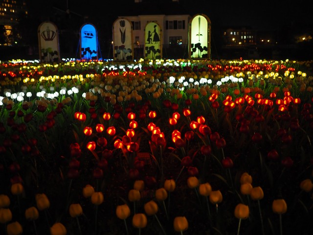f:id:marika3flower3:20180514112602j:image