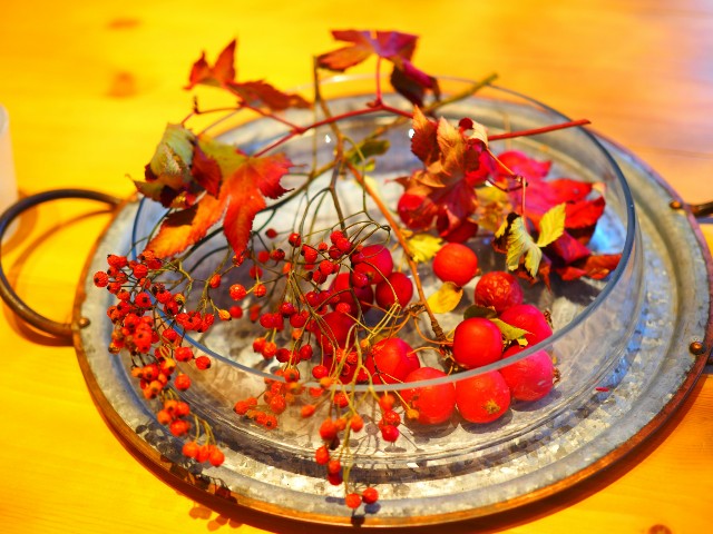 f:id:marika3flower3:20180514173742j:image