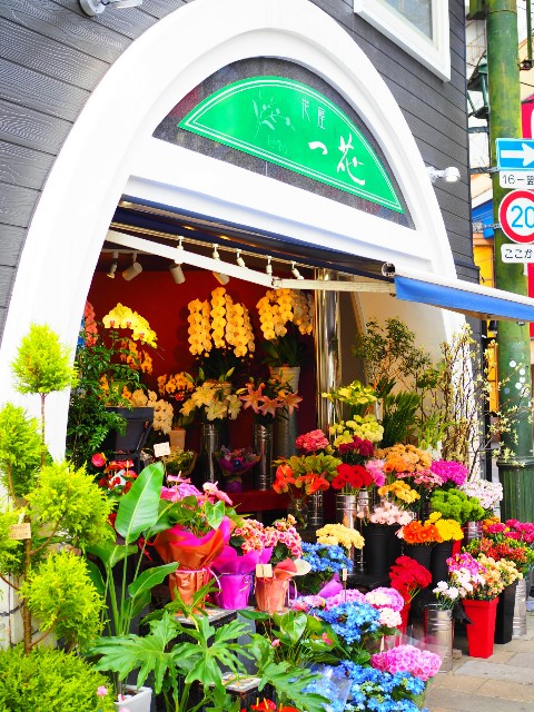 f:id:marika3flower3:20180517235659j:image
