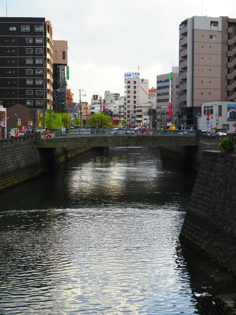 f:id:marika3flower3:20180518002759j:image