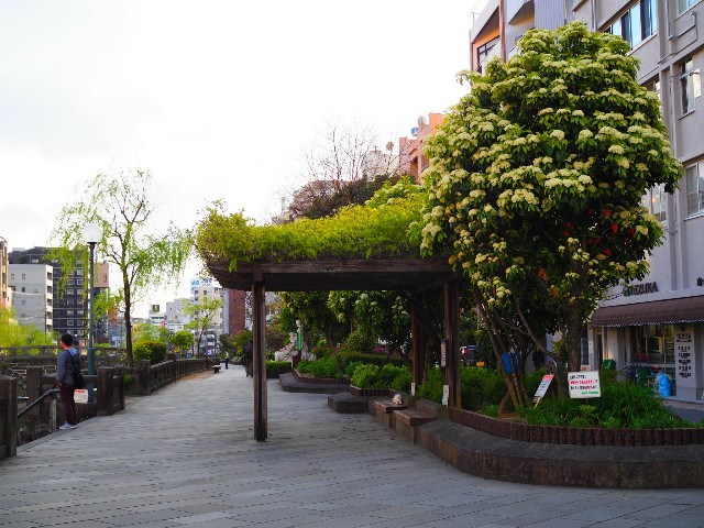 f:id:marika3flower3:20180518002832j:image