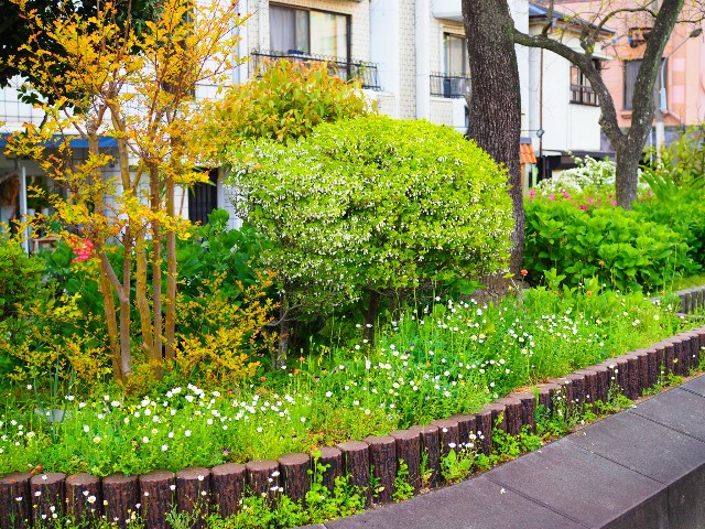 f:id:marika3flower3:20180518002846j:image