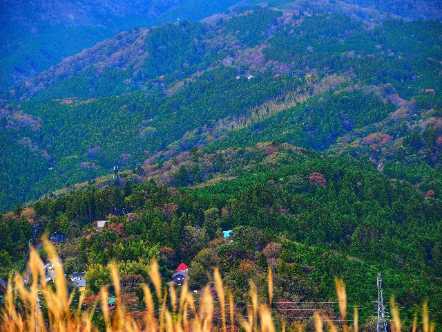 f:id:marika3flower7:20191203003454j:image