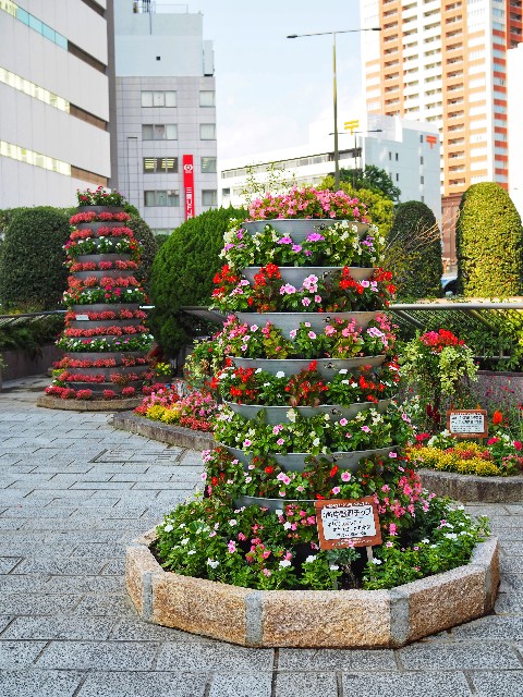 f:id:marika3flower7:20191205160048j:image