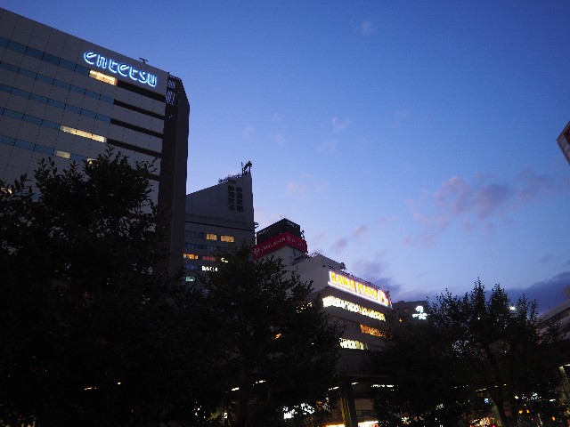 f:id:marika3flower7:20191205163450j:image
