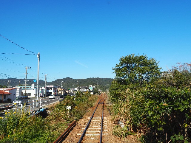 f:id:marika3flower7:20191208215813j:image