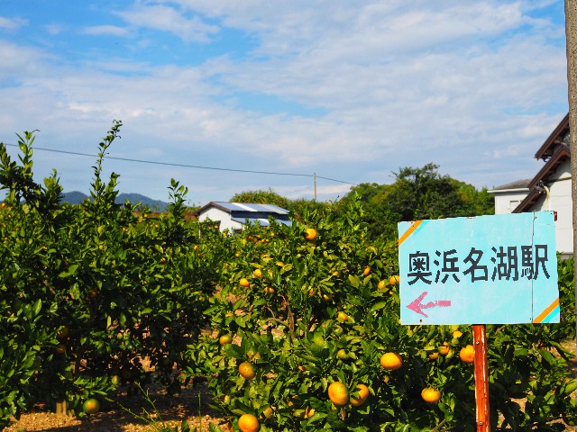 f:id:marika3flower7:20191209025815j:image