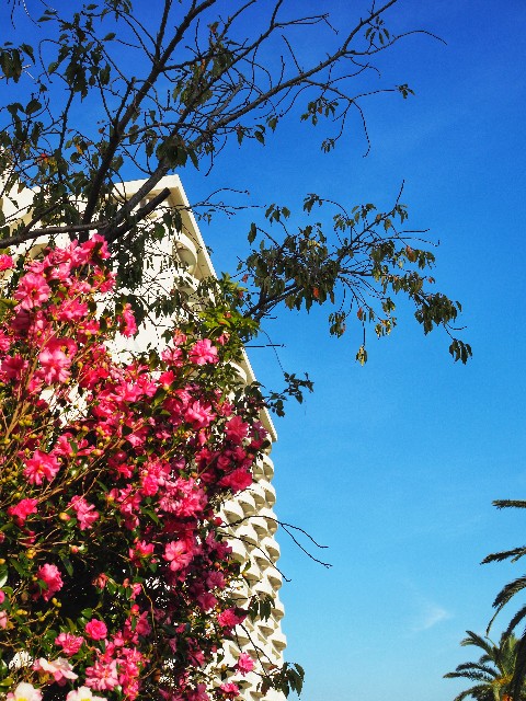 f:id:marika3flower7:20191209110730j:image