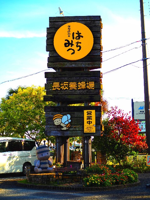 f:id:marika3flower7:20191209113030j:image