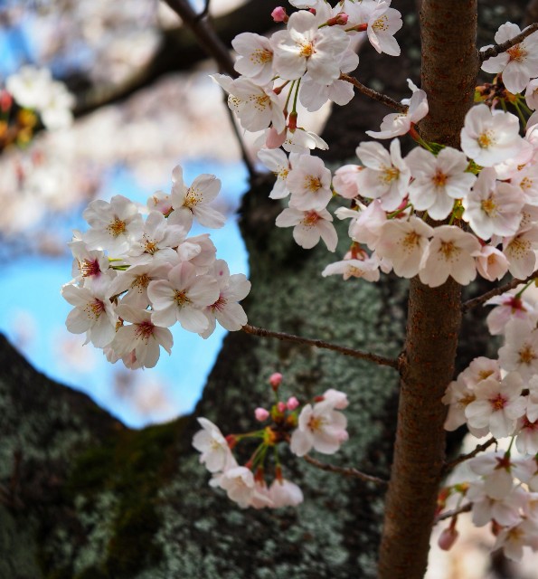 f:id:marika3flower7:20211005002600j:image