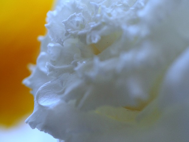 f:id:marika3flower7:20211005003426j:image